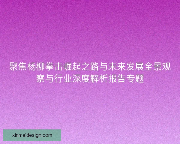 聚焦杨柳拳击崛起之路与未来发展全景观察与行业深度解析报告专题 聚焦杨柳拳击崛起之路与未来发展全景观察与行业深度解析报告专题